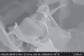 Conductive Graphene Powder for Lithium Ion Battery or Fuel Cell/Electrolyzer, 50g/bottle, EQ-Lib-CGnP