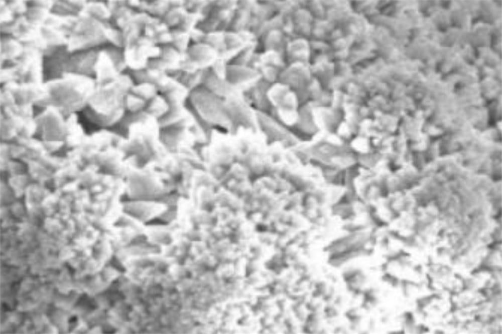 Manganese-rich Li1.2Ni0.13Co0.13Mn0.54O2 Powder for Li-Ion Battery Cathode, 100g/bottle, Lib-LNCM114