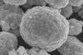 LiNiCoMnO2 (Ni:Co:Mn=1:1:1, NCM111) Powder for High Capacity Li-ion Battery Cathode, 200g/bag -Lib-LNCM111