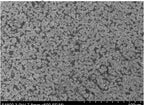 Single Crystal Powder: LiNiCoMnO2 (Ni:Co:Mn=8:1:1, NCM811) Powder for Li-ion Battery Cathode, 200g/bottle - Lib-LNCM811-SC