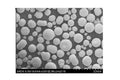 LSM25: (La0.75Sr0.25) 0.95MnO3- / LSM Powder for Plasma Spraying, 500g/Pack - Lib-LSM